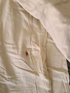 cream color peticot