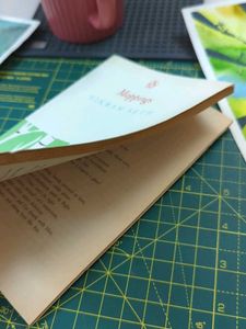 Mappings by Vikram Seth