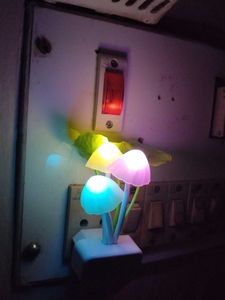 Mushroom LED Night Light