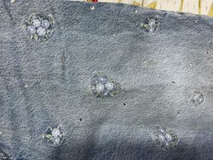 WESTSIDE embroidered sparkling embellished Denim J