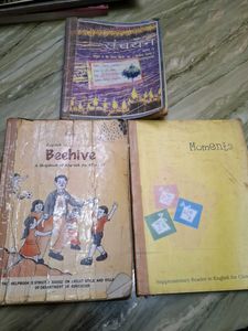 3 Used English & Hindi Textbooks