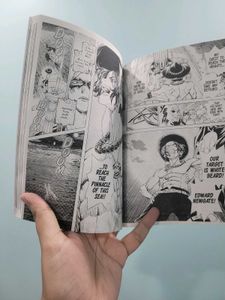 One Piece Ace's Story Vol 1 Manga