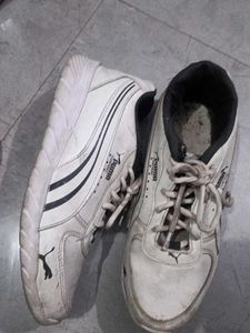 Puma Sports Shoes