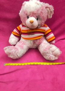 Cute Striped Shirt Teddy Bear