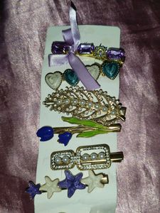 Chic Hair Clip Set