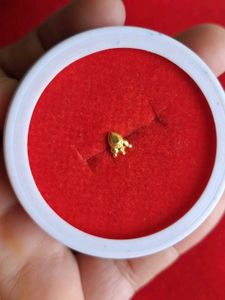 Elegant Gold Nose Pin