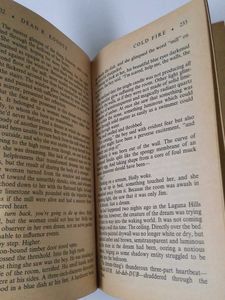 Dean Koontz Cold Fire Book