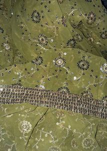 Elegant Green Embellished Saree