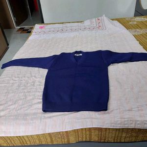 Men's Blue V-Neck Sweater