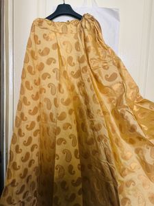 Elegant Golden Paisley Print Skirt
