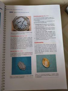 Materials Used in Dentistry Textbook for dental