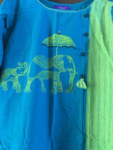 Blue &amp; Green Elephant Print Kurta