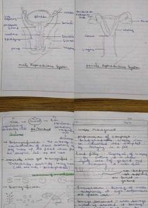 CBSE 10th Bio Handwritten Notes | All Chapters
