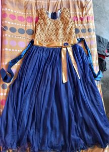Blue And Gold Netted Gown