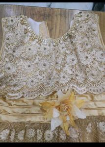 Elegant Embellished Lehenga Choli