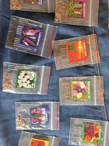 Set Of 30 Flower Seeds