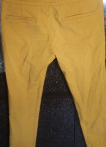 Mustard Yellow Casual Pants