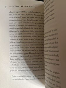 The Buddha in Your Mirror Book
