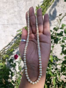 Black Elegant Bangles With Pearl Necklace
