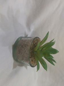 home decor artificial plant