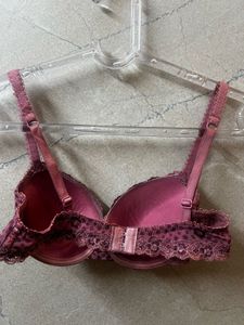 Beautiful Lace Padded Underwire Bra