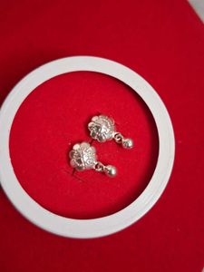 Beautiful New Silver Earrings