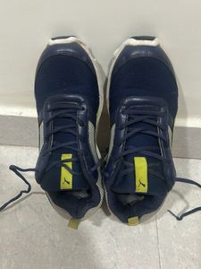 Puma Navy Blue Running Shoes