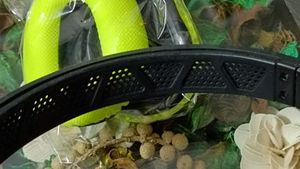 Gym Headphone RAEGR AirBeats Bluetooth