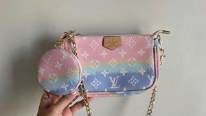 Lv inspired rainbow pochette