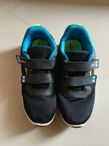 Campus Sports Shoes