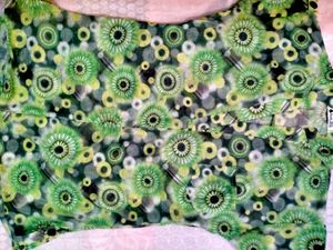 Brand New Floral Top With Green Inner