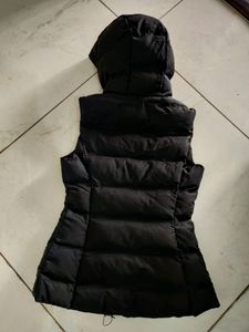 New ZARA jacket (Authentic)