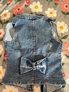 Zara Denim Embellished Vest