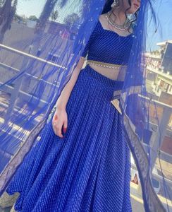 Blue Striped Lehenga with Embellished Border