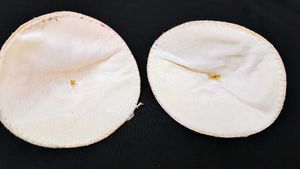White Bra Inserts (Pair)