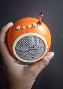 FM Music Speaker