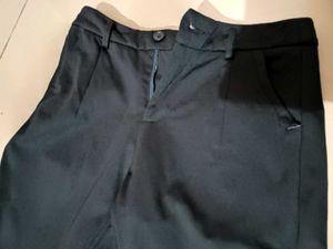 Wide Leg Dress Pants