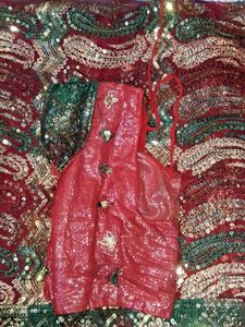 Embellished Saree with Sequins