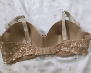 Elegant Lace  Bra