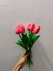 Rose Flowered🌷