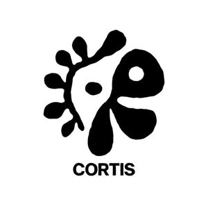 B1G2 Offer 🔥 2 × CORTIS Kpop Merch Keychains