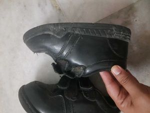Black Velco School Shoes RexGola