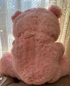 Pink Plush Teddy Bear