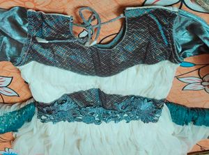 Elegant Embroidered Dress