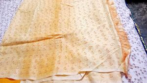 Elegant organza silk Saree