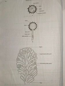 Biology Lab Manual For Class 12