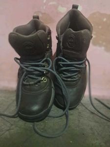Timberland Hiking Boots