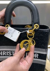 Christan dior HANDBAGS Mastercopy