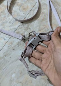 Cat Harness and Leash Set
