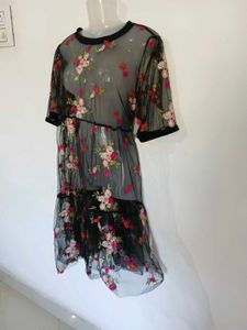 Chic Embroidered Mesh Dress